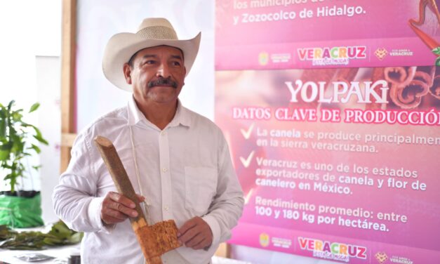 Yolpaki, vitrina viva de los saberes y la riqueza de la tierra veracruzana