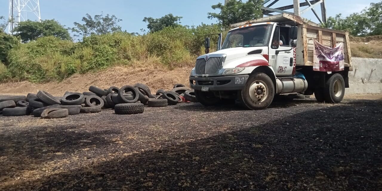 Retiran 36 toneladas de cacharros y 350 llantas en jornada contra el dengue en Coatzacoalcos