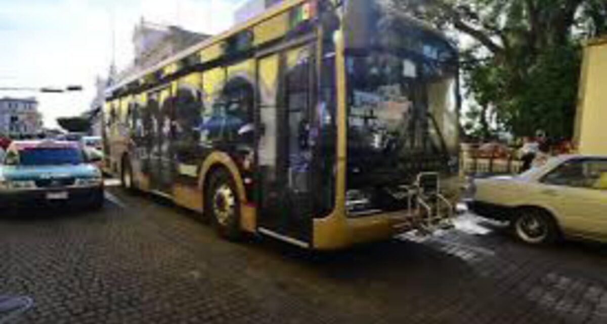 En octubre Xalapa contará con nuevos autobuses ‘Olmeca’, adelantó Rocío Nahle