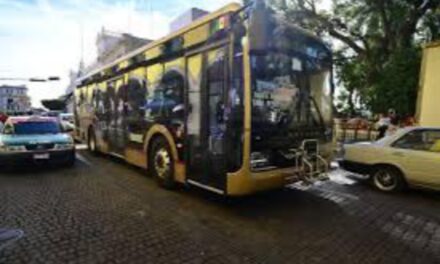 En octubre Xalapa contará con nuevos autobuses ‘Olmeca’, adelantó Rocío Nahle