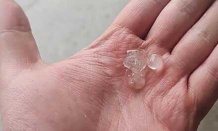 Reportan caída de granizo en la región de Xalapa