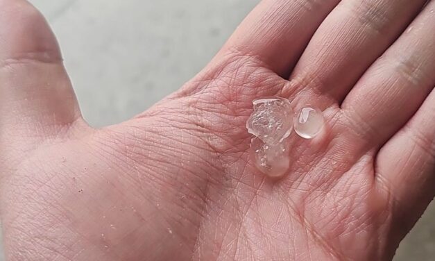 Reportan caída de granizo en la región de Xalapa