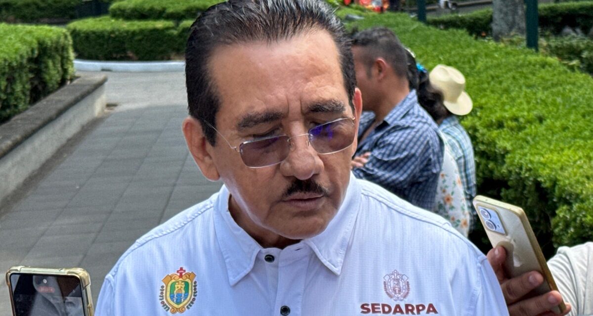 Plantea SEDARPA consolidar miel veracruzana a través de capacitación para la exportación