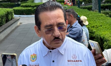 Plantea SEDARPA consolidar miel veracruzana a través de capacitación para la exportación