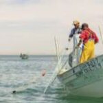 Este jueves 21 de mayo entregan apoyos a pescadores afectados por derrame de hidrocarburo en Veracruz