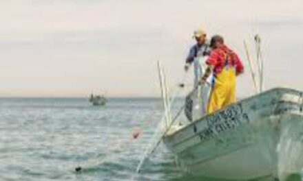 Este jueves 21 de mayo entregan apoyos a pescadores afectados por derrame de hidrocarburo en Veracruz