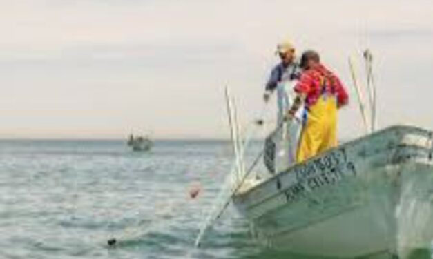Este jueves 21 de mayo entregan apoyos a pescadores afectados por derrame de hidrocarburo en Veracruz