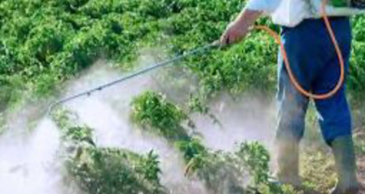 Impulsan uso responsable de agroquímicos y fertilizantes en Veracruz