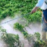 Impulsan uso responsable de agroquímicos y fertilizantes en Veracruz