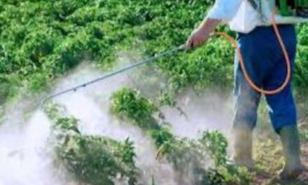 Impulsan uso responsable de agroquímicos y fertilizantes en Veracruz