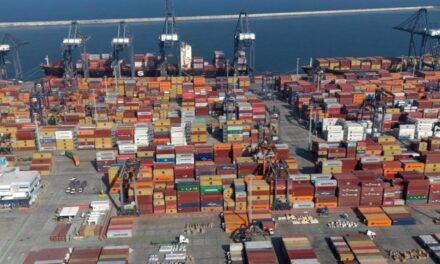 Busca Veracruz incrementar relaciones comerciales con Bélgica; recibe gobernadora Nahle a embajador