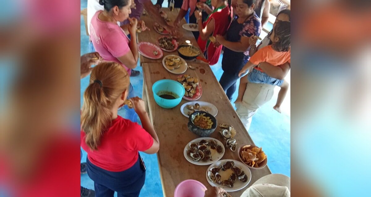 Anuncian el Festival del Ostión en Coatzacoalcos; prepararán tres toneladas de producto
