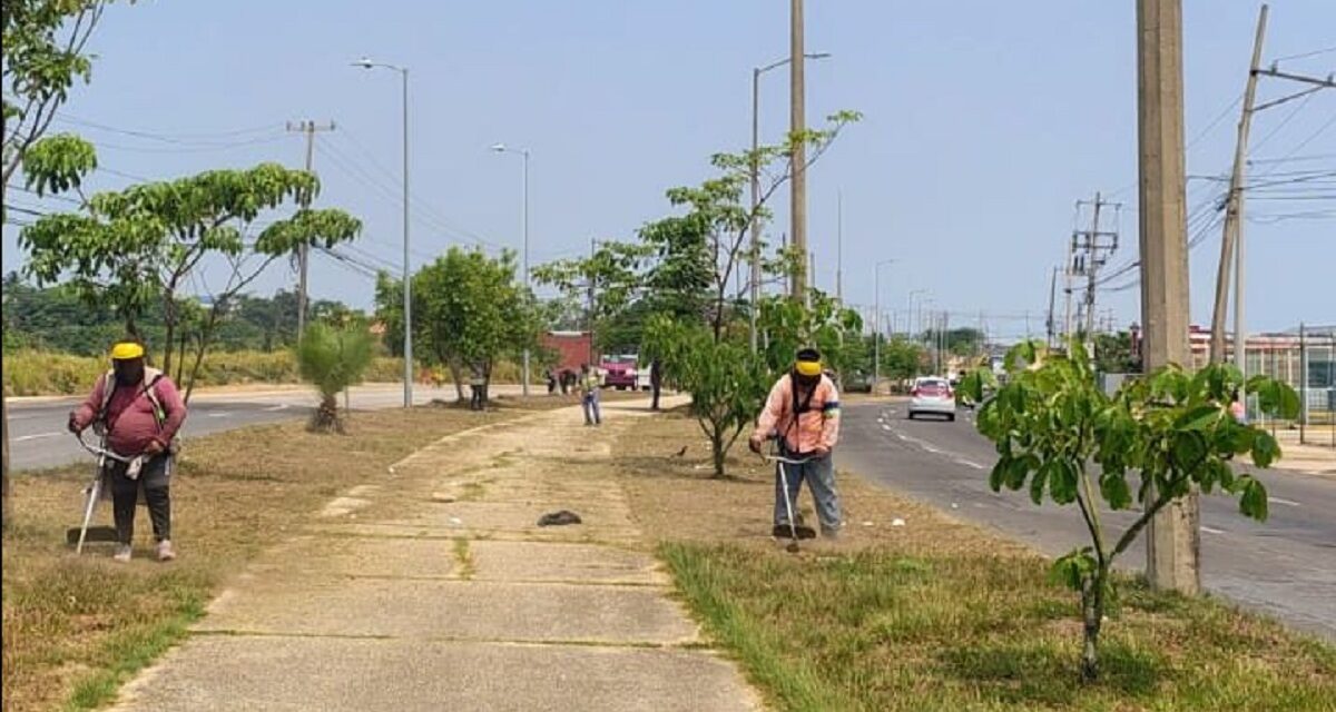 Inicia Ayuntamiento de Coatzacoalcos jornada de mantenimiento intensivo en la Avenida Universidad