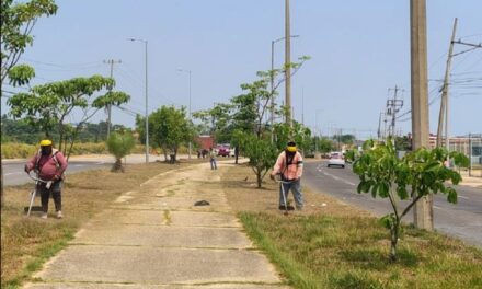Inicia Ayuntamiento de Coatzacoalcos jornada de mantenimiento intensivo en la Avenida Universidad