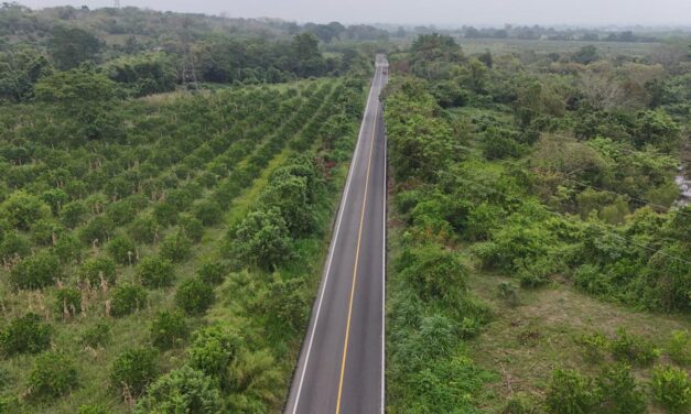 La infraestructura es motor económico; el sur concentra obras estratégicas: Rocío Nahle