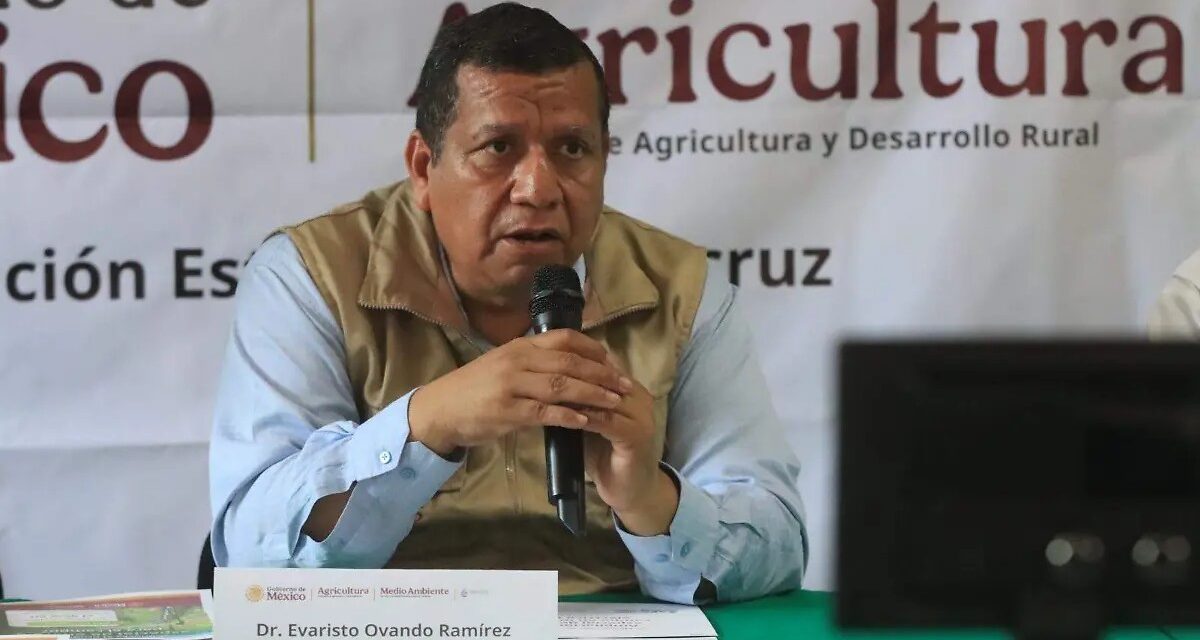 Advierten sobre volatilidad en precios de chayote y piña en Veracruz