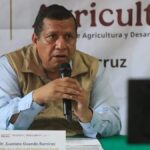Advierten sobre volatilidad en precios de chayote y piña en Veracruz