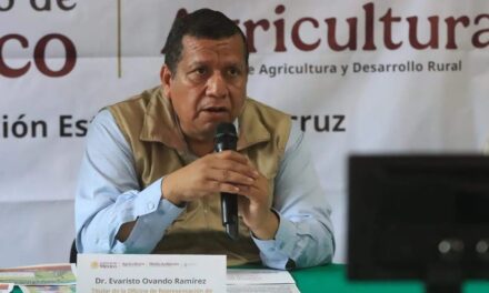 Advierten sobre volatilidad en precios de chayote y piña en Veracruz