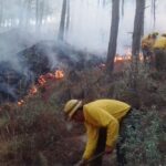 Registra Veracruz 70 incendios forestales al corte del mes de mayo