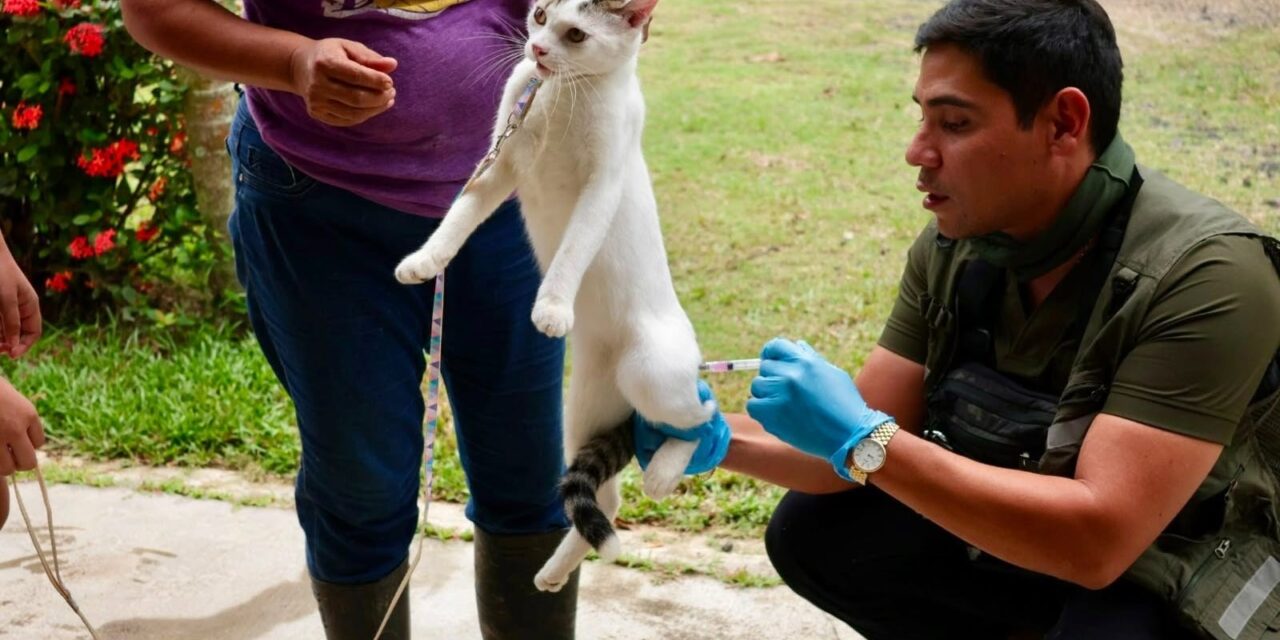 Concluye con éxito jornada de vacunación antirrábica en el ejido Francisco Villa de Coatzacoalcos