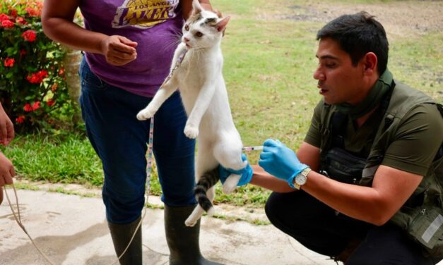 Concluye con éxito jornada de vacunación antirrábica en el ejido Francisco Villa de Coatzacoalcos