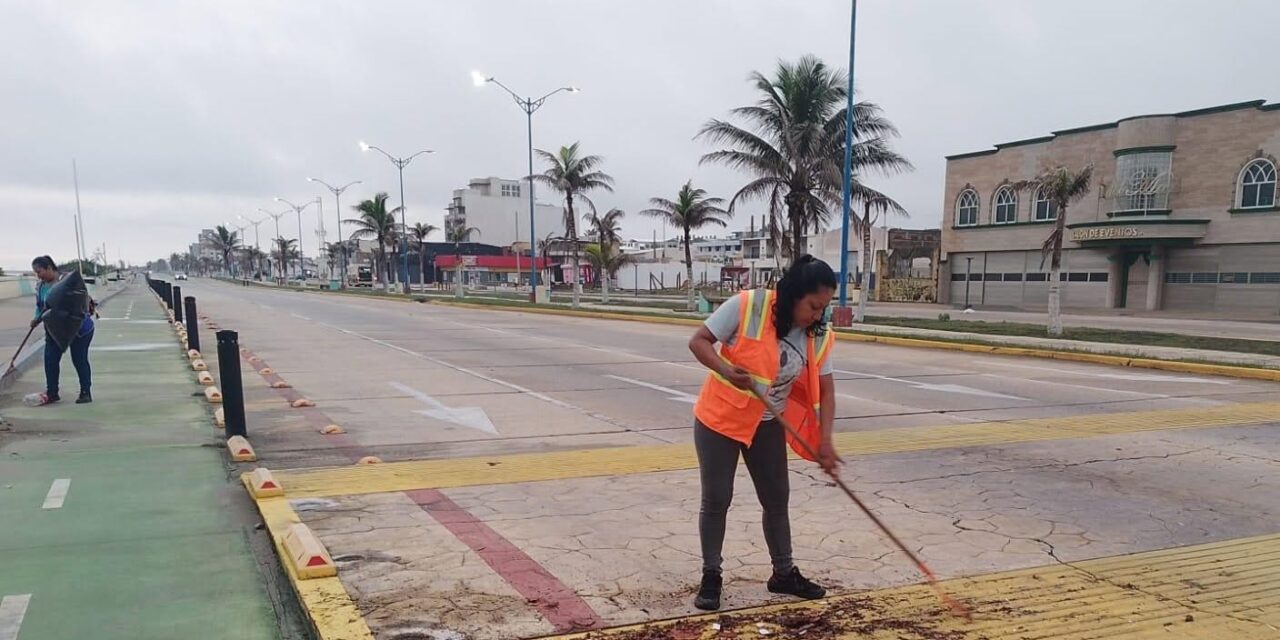 Despliega Gobierno de Coatzacoalcos operativo nocturno y matutino para liberar vialidades tras tormentas