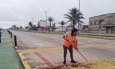 Despliega Gobierno de Coatzacoalcos operativo nocturno y matutino para liberar vialidades tras tormentas