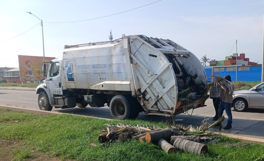 Intensifica Ayuntamiento de Coatzacoalcos recolección de desechos y limpieza de terrenos baldíos