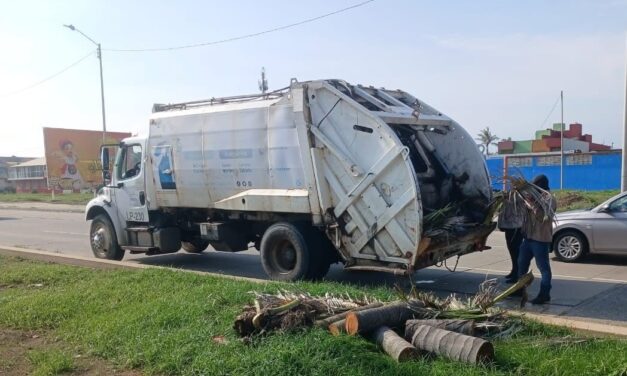 Intensifica Ayuntamiento de Coatzacoalcos recolección de desechos y limpieza de terrenos baldíos