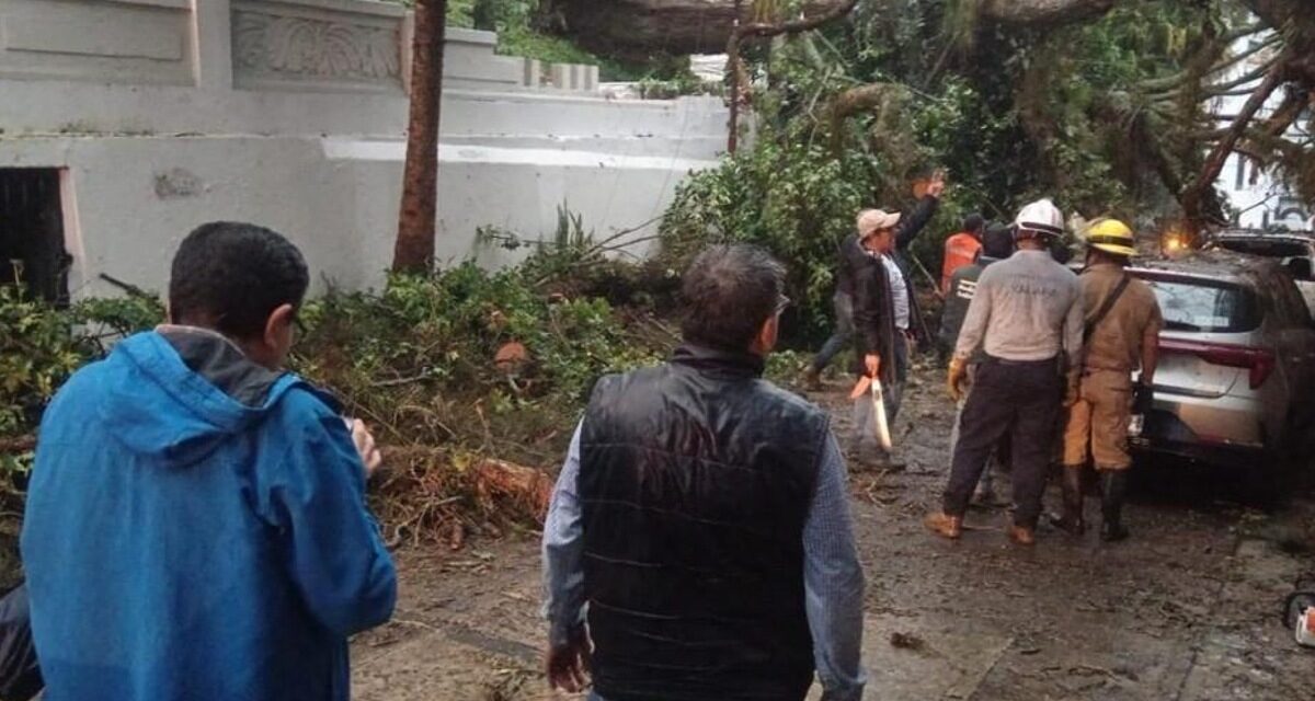 Lluvias dejan afectaciones en 13 municipios de Veracruz