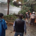 Lluvias dejan afectaciones en 13 municipios de Veracruz
