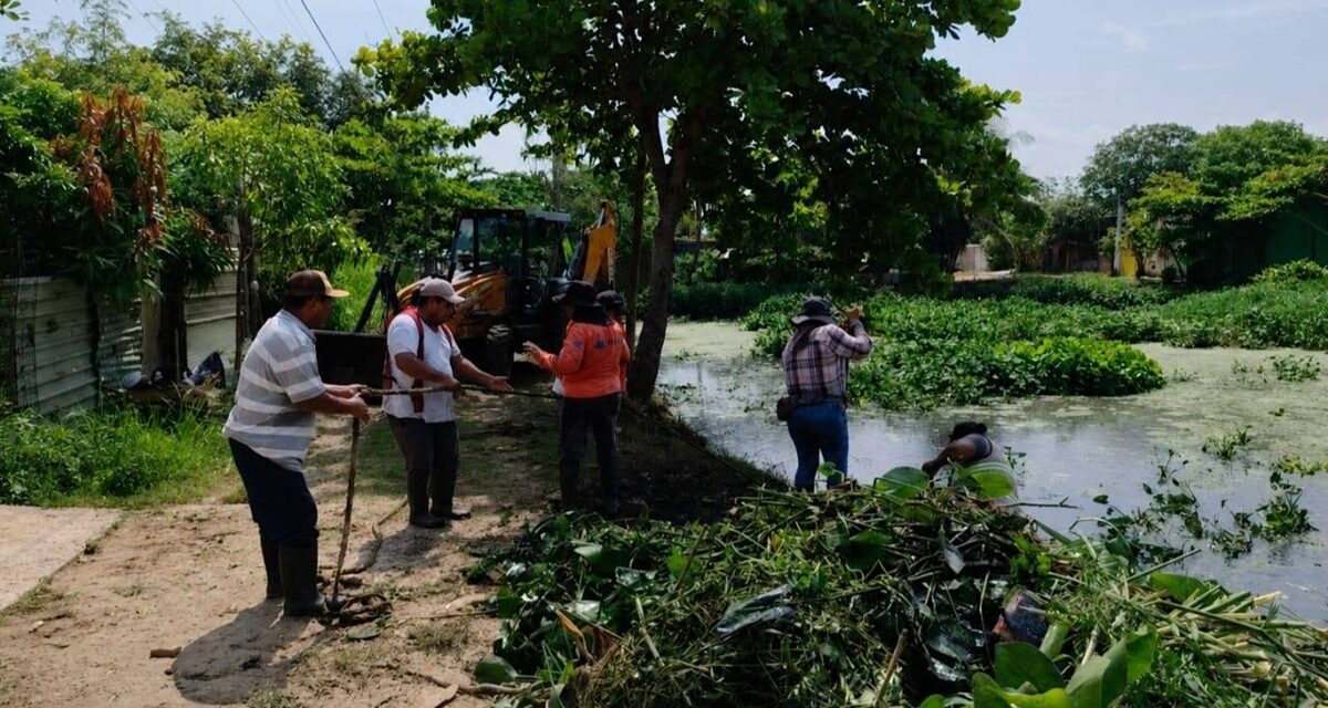 Con colectores y pozos de absorción, Pedro Miguel Rosaldo va contra décadas de inundaciones en Coatzacoalcos