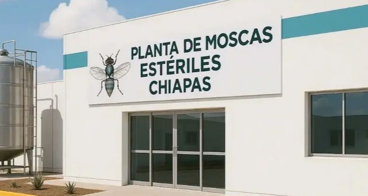México y Estados Unidos se unen para combatir GBG, instalan planta de mosca estéril en Chiapas