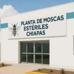 México y Estados Unidos se unen para combatir GBG, instalan planta de mosca estéril en Chiapas