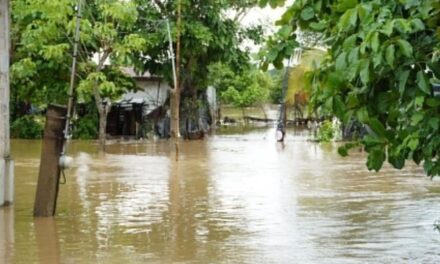 Atiende Estado población tras lluvias en Isla, activa Ejército Plan DN-III