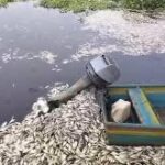 PMA y SSP intervienen empresa acoholera ante contaminación de río Papaloapan; se tomarán medidas, advierte Nahle