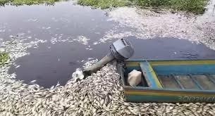 PMA y SSP intervienen empresa acoholera ante contaminación de río Papaloapan; se tomarán medidas, advierte Nahle