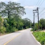 Ponen en operación carretera que une Acayucan con Soteapan, destaca gobernadora Nahle