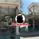 ColumnaSinNombre