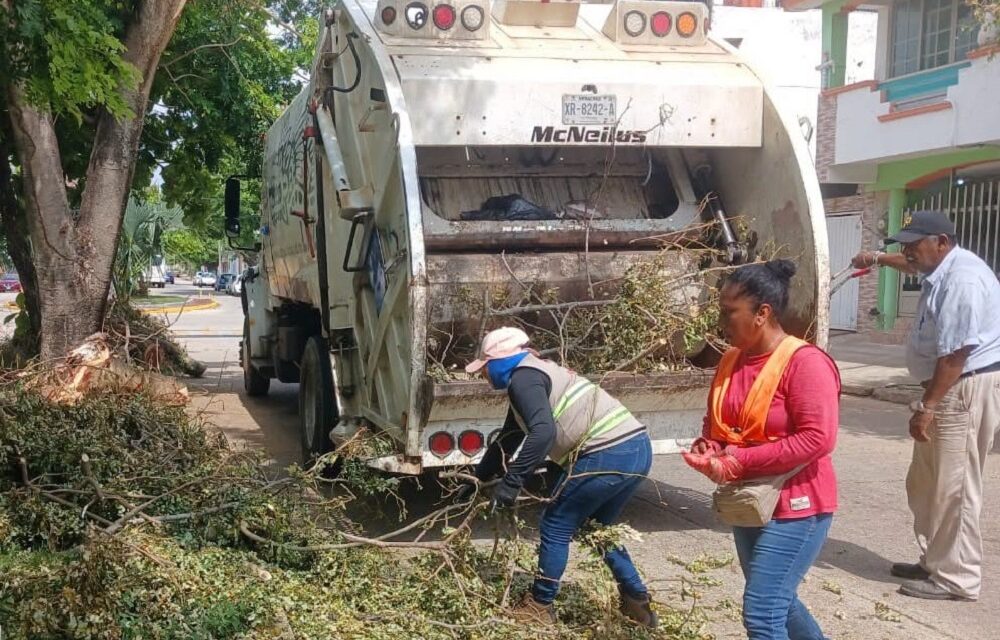 Despliegan operativo integral de limpieza y mantenimiento urbano en colonias de Coatzacoalcos