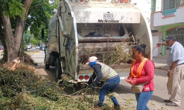 Despliegan operativo integral de limpieza y mantenimiento urbano en colonias de Coatzacoalcos