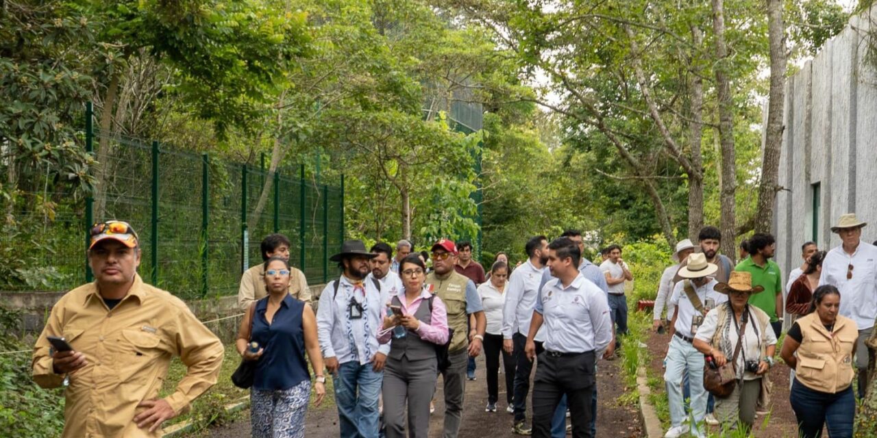UMA Naturalia promueve modelo integral de atención y manejo de fauna silvestre