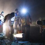 Protege Veracruz la migración del cangrejo azul con la Cangrejeada 2026