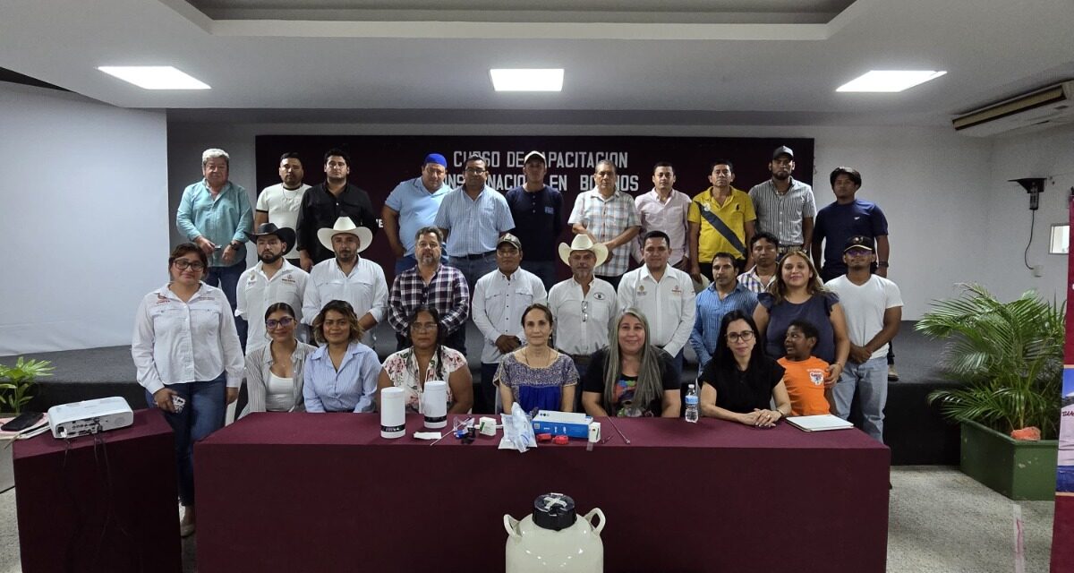 Impulsa Gobierno de Coatzacoalcos el mejoramiento del hato ganadero con capacitación y entrega de genética de alta calidad