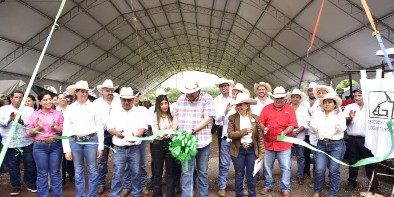 Con apoyo del Estado, inició en Tantoyuca el Tianguis Ganadero con más de 200 ejemplares exhibidos
