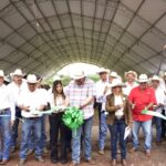 Con apoyo del Estado, inició en Tantoyuca el Tianguis Ganadero con más de 200 ejemplares exhibidos