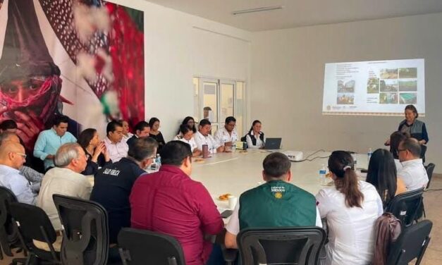 Veracruz suma esfuerzos para prevenir enfermedades transmitidas por vector