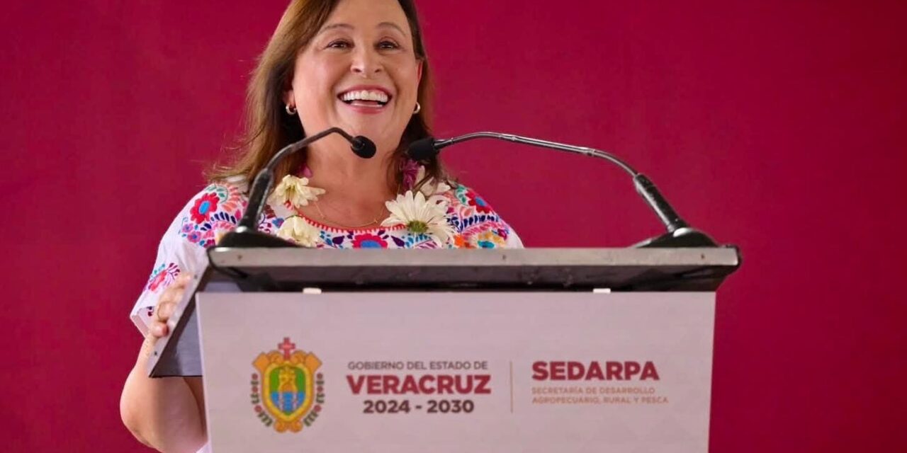 En mi tienen una alidada para sacar adelante el campo de Veracruz: Rocío Nahle