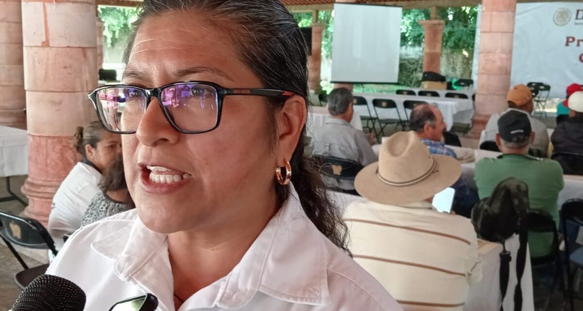 Veracruz contará con más Centros de Atención Agraria, prevén cerrar el año con 120