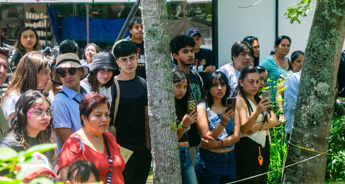 Más de mil asistentes participan en festival dedicado a la conservación de la vida silvestre